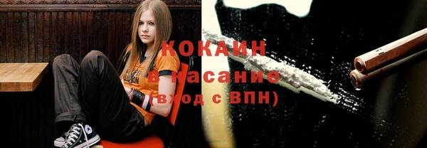 мяу мяу мука Бугульма