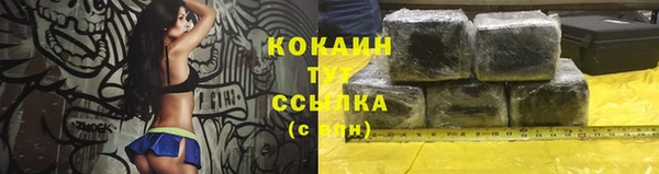 сатива Бронницы