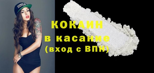 сатива Бронницы