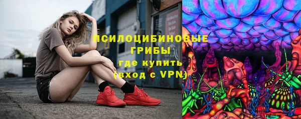 сатива Бронницы