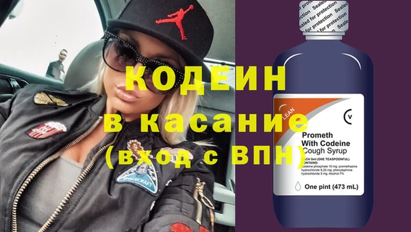 мдпв Бородино