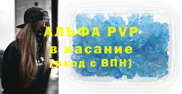 мдпв Бородино