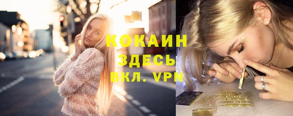 мдпв Бородино