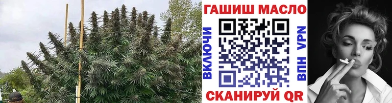 Купить где  Лебедянь  ТГК концентрат 