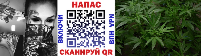 Бошки Шишки MAZAR Лебедянь